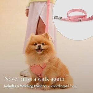 🐶 Nina Woof Dog Harness and Leash Set The Pure Comfort Harness🐶